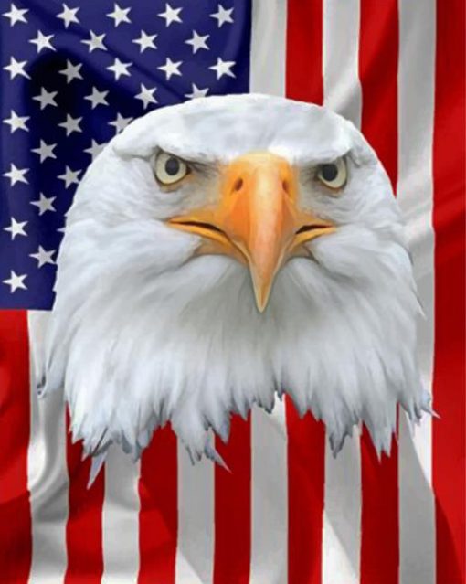 aesthetic-american-flag-eagle-paint-by-numbers