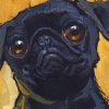 aesthetic-black-pug-paint-by-number