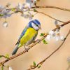 aesthetic-blue-tit-paint-by-numbers