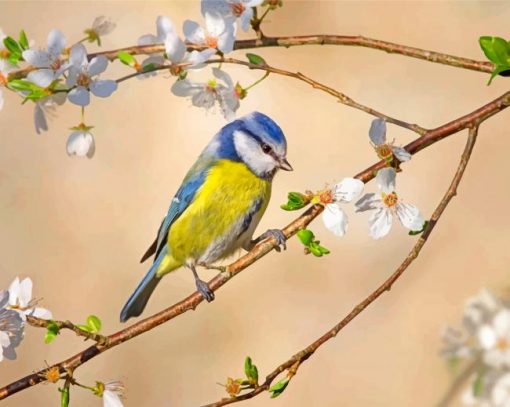aesthetic-blue-tit-paint-by-numbers