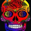 aesthetic-candy-skull-paint-by-number