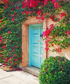 aesthetic-cyan-door-and-bougainvillea-paint-by-number