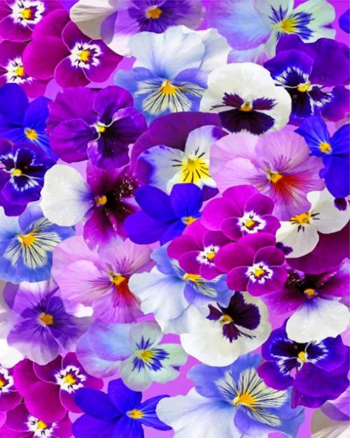 aesthetic-pansy-flowers-paint-by-number