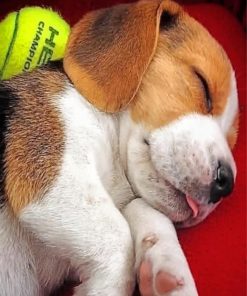 beagle-puppy-sleeping-paint-by-number