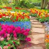 beautiful-garden-paint-by-numbers