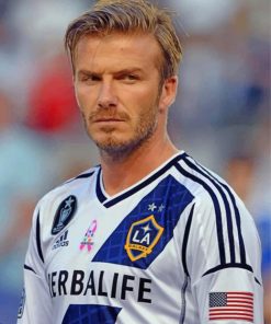 beckham-paint-by-numbers