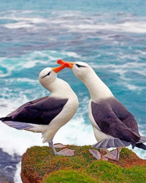 birds-in-love-paint-by-numbers