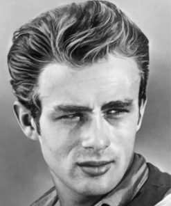 black-and-white-james-dean-paint-by-numbers