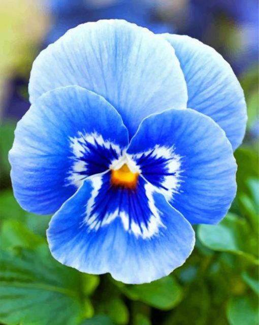 blue-pansy-paint-by-numbers