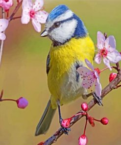 blue-tit-in-spring-paint-by-number