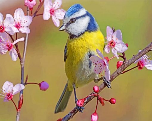 blue-tit-in-spring-paint-by-number