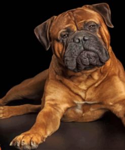 bullmastiff-paint-by-number