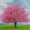 cherry tree diamond painting