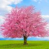 cherry-tree-paint-by-number