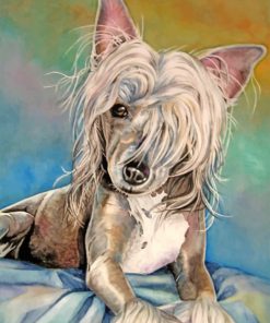 chinese-crested-art-paint-by-number