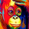 colourful-monkey-paint-by-number