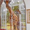 curious-giraffes-paint-by-numbers
