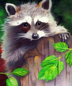 cute-racoon-paint-by-number