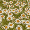 daisy-field-illustration-paint-by-number
