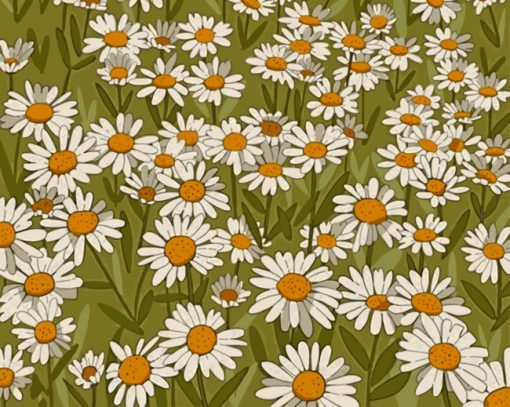 daisy-field-illustration-paint-by-number