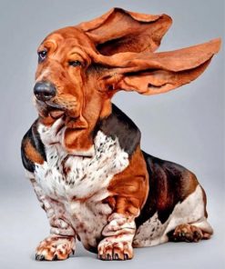 funny-basset-hound-paint-by-numbers