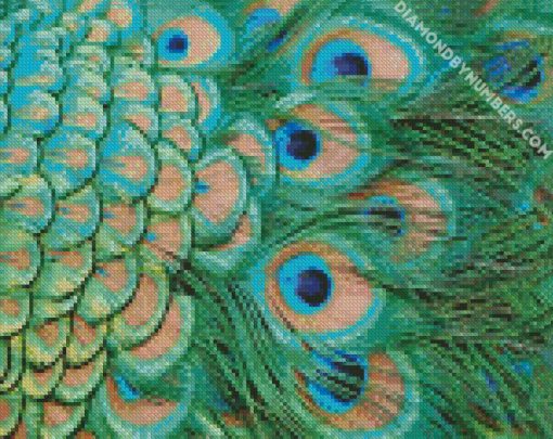 green peacock feather diamond painting
