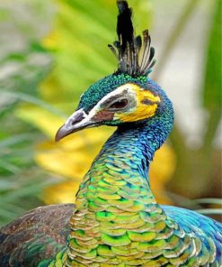 green-peafowl-paint-by-numbers