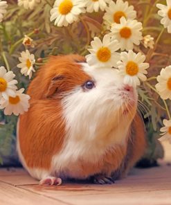 guinea-pig--and--daisy-flowers-paint-by-numbers
