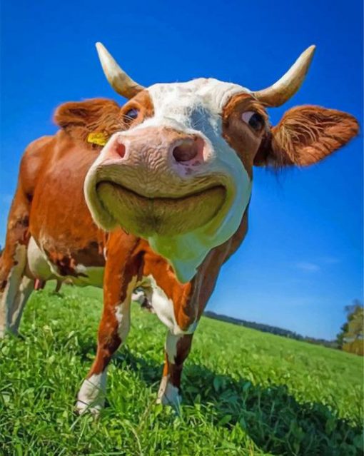 happy-cow-paint-by-number