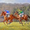 horse-race-paint-by-numbers