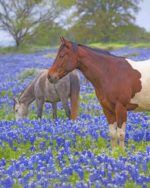 horses-and-bluebonnet-paint-by-numbers
