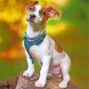 jack-russells-animal-paint-by-number