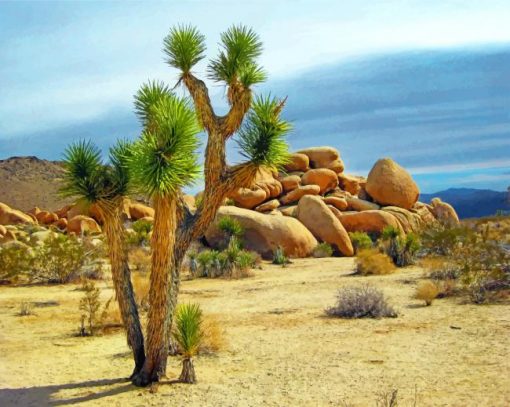 joshua-tree-paint-by-number