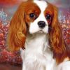 king-charles-spaniel-portrait-paint-by-numbers