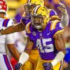 lsu-tigers-paint-by-numbers