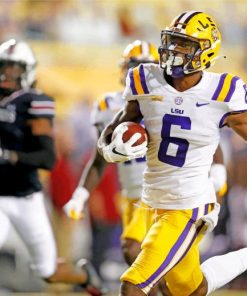 lsu-tigers-player-paint-by-numbers