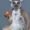mad-lemur-paint-by-numbers