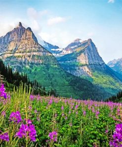 montana-Glacier-National-Park-paint-by-number