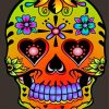 orange-candy-skull-paint-by-number