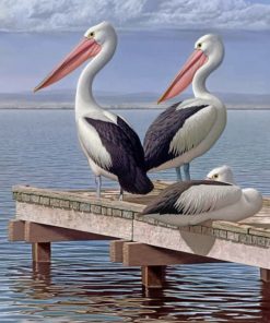 pelican-birds-paint-by-numbers