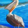 pelicans-paint-by-numbers