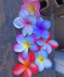 plumeria-flowers-paint-by-numbers