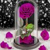 purple-glass-rose-paint-by-number