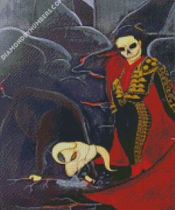 skull matador diamond paintings