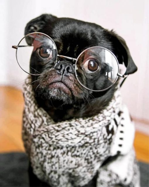 stylish-black-pug-paint-by-number
