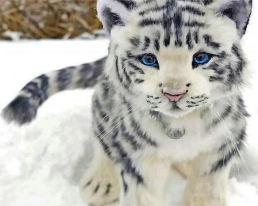 white-baby-tiger-paint-by-numbers