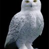 white-owl-paint-by-numbers