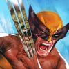 wolverine-illustration-paint-by-number