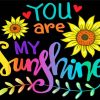you-are-my-sunshine-hand-lettering-paint-by-number