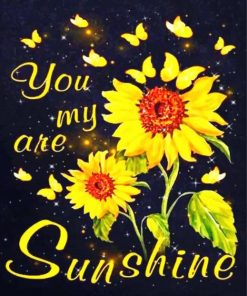 you-are-my-sunshine-paint-by-numbers